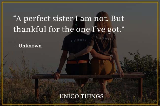 Funny Sister Quotes perfect sister
