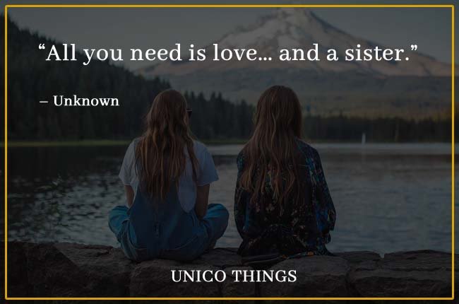 Sister Quotes Funny Short