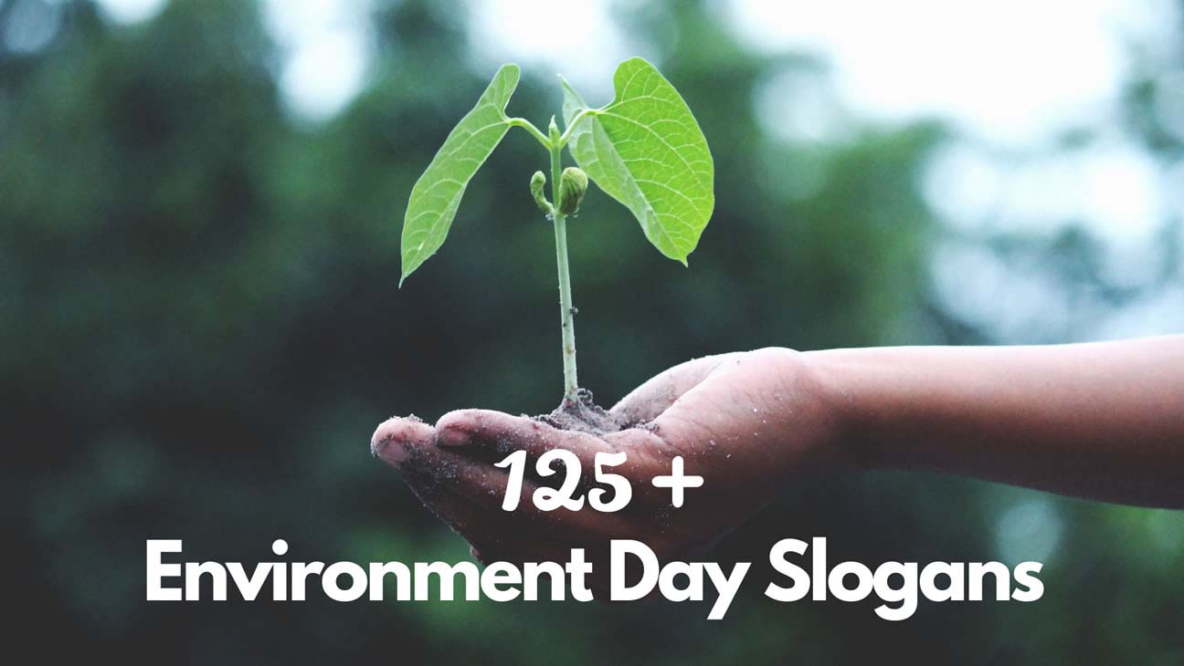 125+ Latest & Catchy Environment Day Slogans (2023)