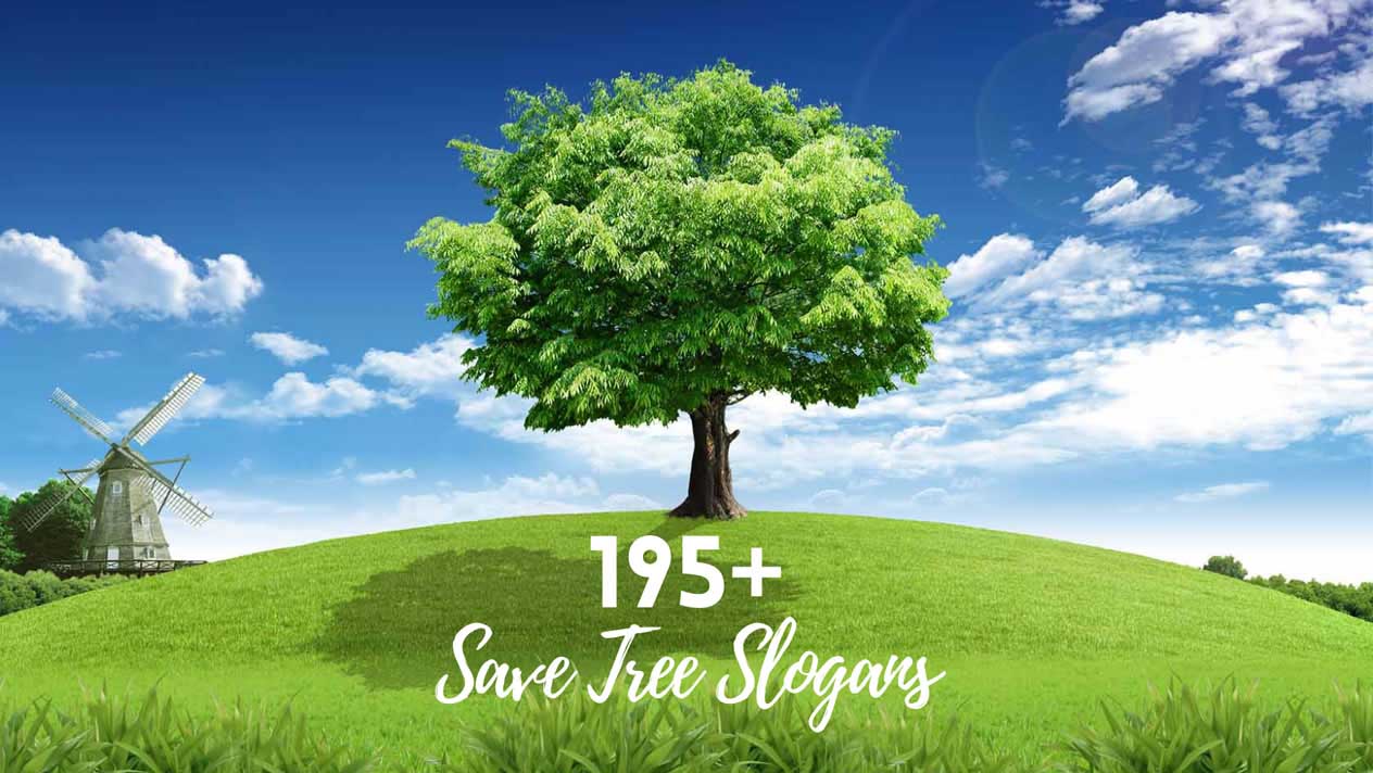 195+ Latest & Catchy Save Tree Slogans And Taglines (2023)